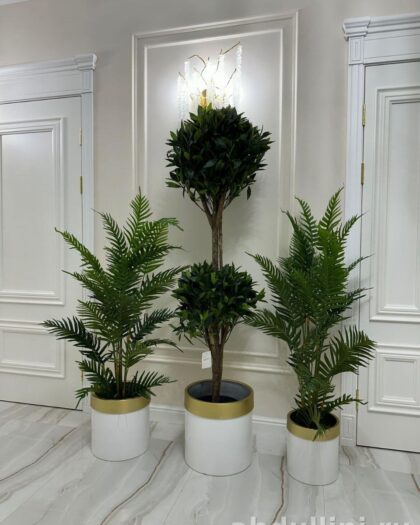 Кашпо и растения для интерьера: купить в Дагестане — купить в Дагестане